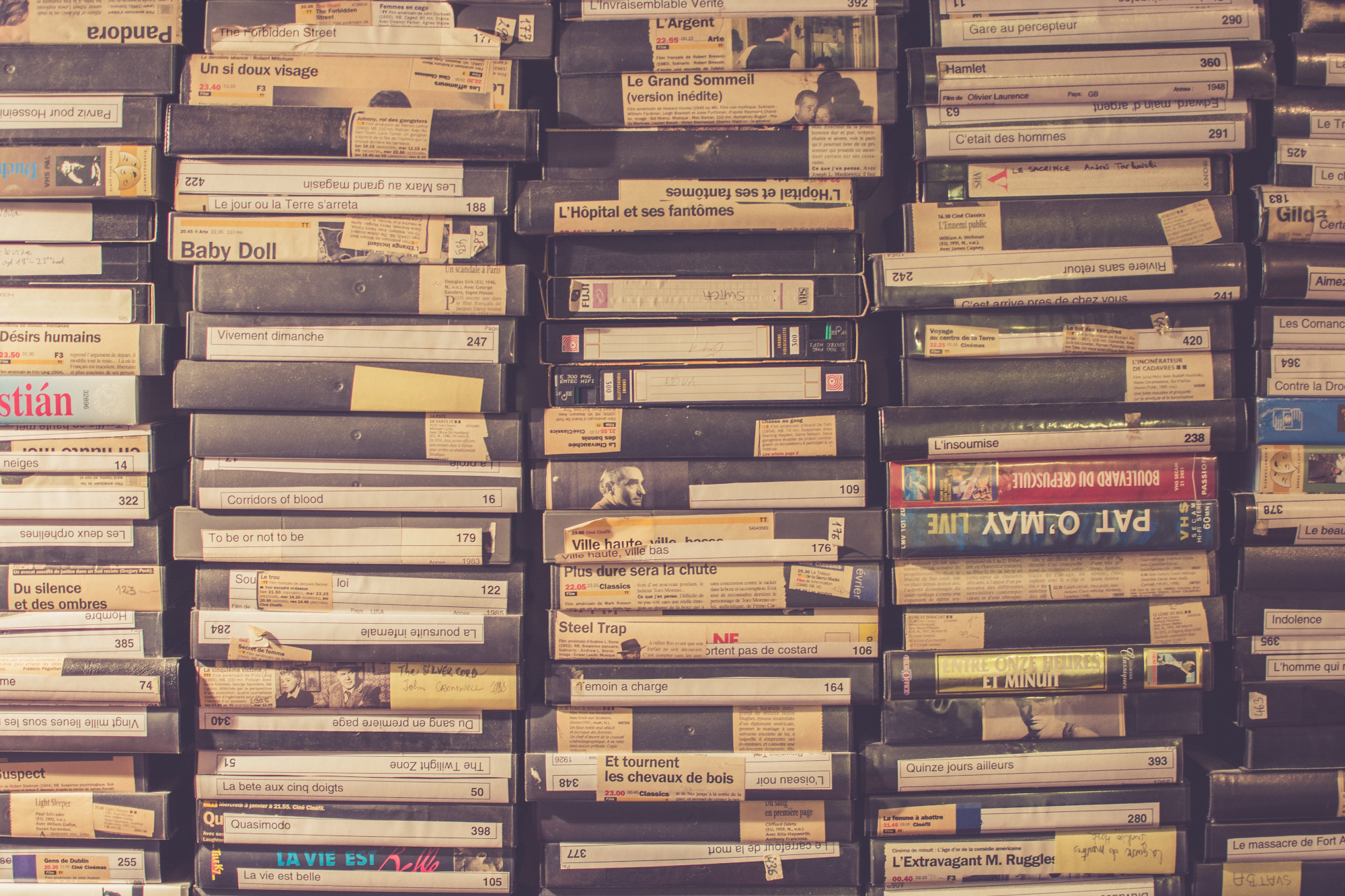 Półki pełne kaset VHS z opisanymi grzbietami